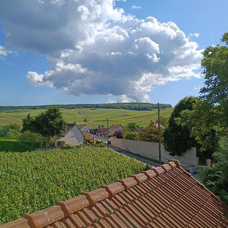 Gite Independant Diz'Enreves Au Coeur Des Vignes 디지 외부 사진