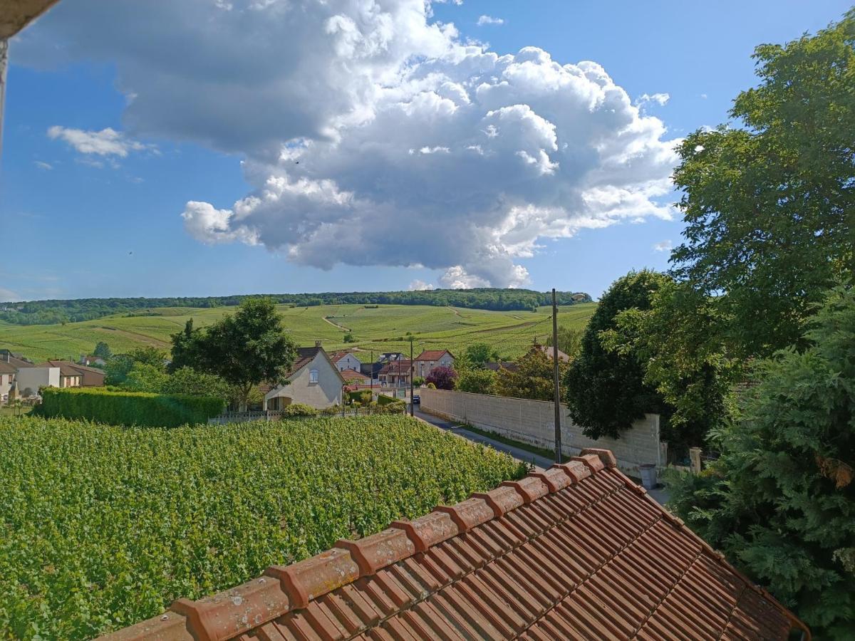 Gite Independant Diz'Enreves Au Coeur Des Vignes 디지 외부 사진