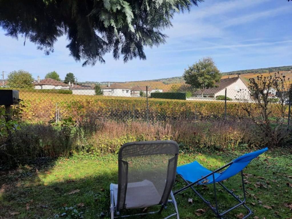 Gite Independant Diz'Enreves Au Coeur Des Vignes 디지 외부 사진